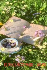 且向山水寻光景：爆款热文