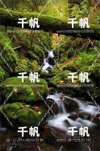 碎冰与心跳:完结