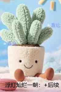 浮灯灿烂一朝：番外笔趣阁