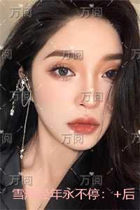 雪落经年永不停