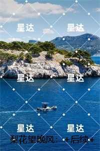 梨花望晚风：最新章节在线阅读