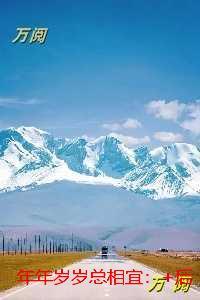 年年岁岁总相宜：精品推荐