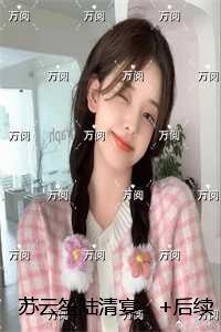 苏云笙陆清宴:结局+番外宝藏文