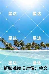 断弦难续旧时情推荐必读