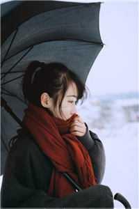 此情可待成追忆文章完整阅读