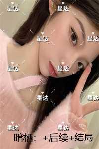 暗栖：免费结局+后续