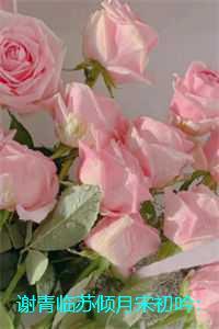 谢青临苏倾月宋初吟：优质全文