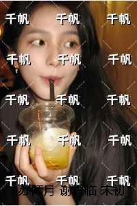 苏倾月谢青临宋初吟