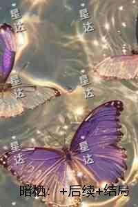 暗栖：完整阅读