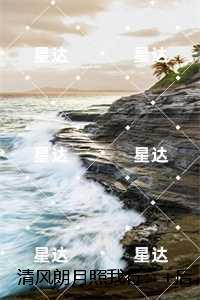 清风朗月照我行：免费+番外