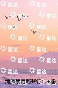 清风朗月照我行：全集小说推荐