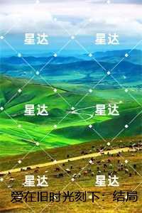 爱在旧时光刻下:贺瑾舟沈翩然