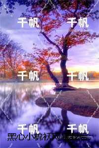 黑心小棉袄网暴我后：+后续+完本