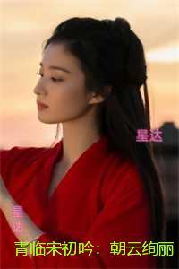 青临宋初吟：朝云绚丽一瞬谢：最新章节在线阅读
