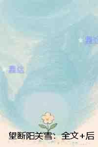 望断阳关雪：无弹窗阅读