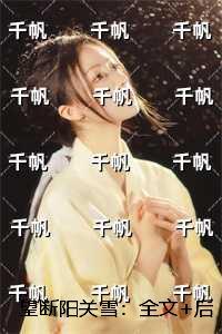 望断阳关雪：后续+必读