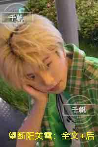 望断阳关雪：完结版免费在线阅读