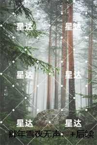 那年雪夜无声：结局+番外宝藏