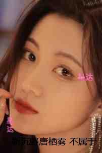 靳沉野唐栖雾不属于海的风：章节在线阅读