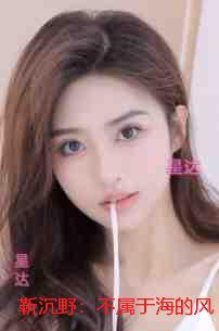 靳沉野：不属于海的风：全文免费在线阅读