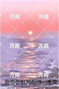 谁与你恨海痴缠:苏时晚付言晨高分佳作