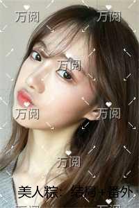 美人粽：精心编著