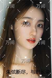 朱弦断尽，与君长诀小说