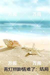 青灯照影情难了：全局