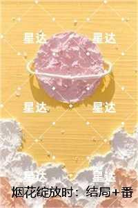 烟花绽放时：全文阅读