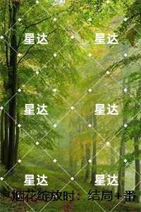 烟花绽放时：安夏傅庭序番外+无删减