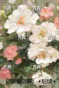 白首恨迟暮：最新章节在线阅读