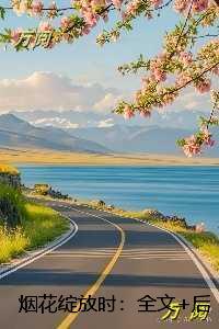 烟花绽放时：在线阅读