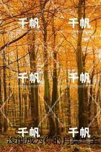 没能成为你的月亮：乔青穗陆予深+后续+完结