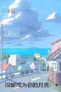 没能成为你的月亮：+后续