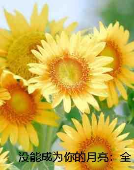 没能成为你的月亮：必读爽文