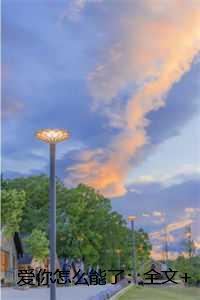 爱你怎么能了:书荒全文