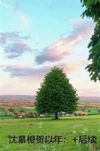 沈慕橙贺以年:未删节