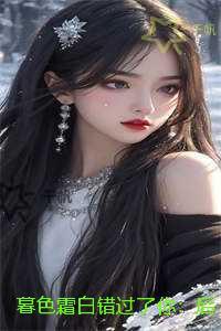 暮色霜白错过了你：小说