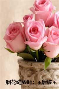 烟花绽放时：全本阅读