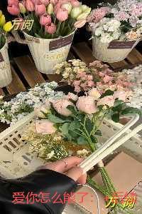 爱你怎么能了:后续+结局