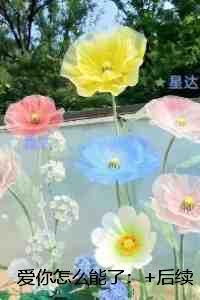 爱你怎么能了:精彩剧情