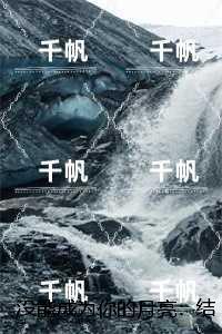 没能成为你的月亮：热门小说