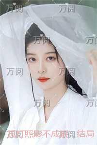 孤灯照影不成眠:畅销小说推荐