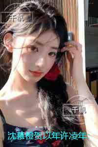 沈慕橙贺以年许凌年:火爆小说