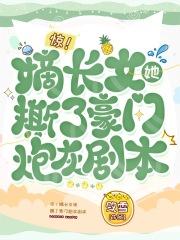 完美之双重卧底