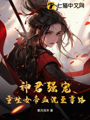 大清风云5:风流天子