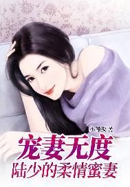 宠妻无度:陆少的柔情蜜妻