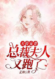 天价宠妻:总裁夫人又跑了