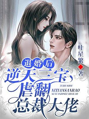 退婚后,三个幼崽把她拉进大佬怀里