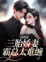 一夜情深:三胎娇妻,霸总太难缠